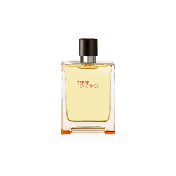 Hermes Terre dâHermes 100 ML EDT TESTER